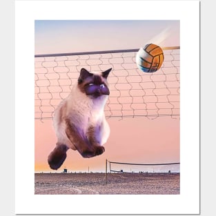 Siamese Cat Playing Beach Volleyball Posters and Art